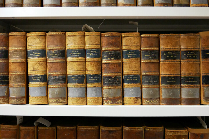 Drei Regalreihen mit historischen Bänden. Die Buchrücken snd braun mit schwarzen und grauen Absetzungen.